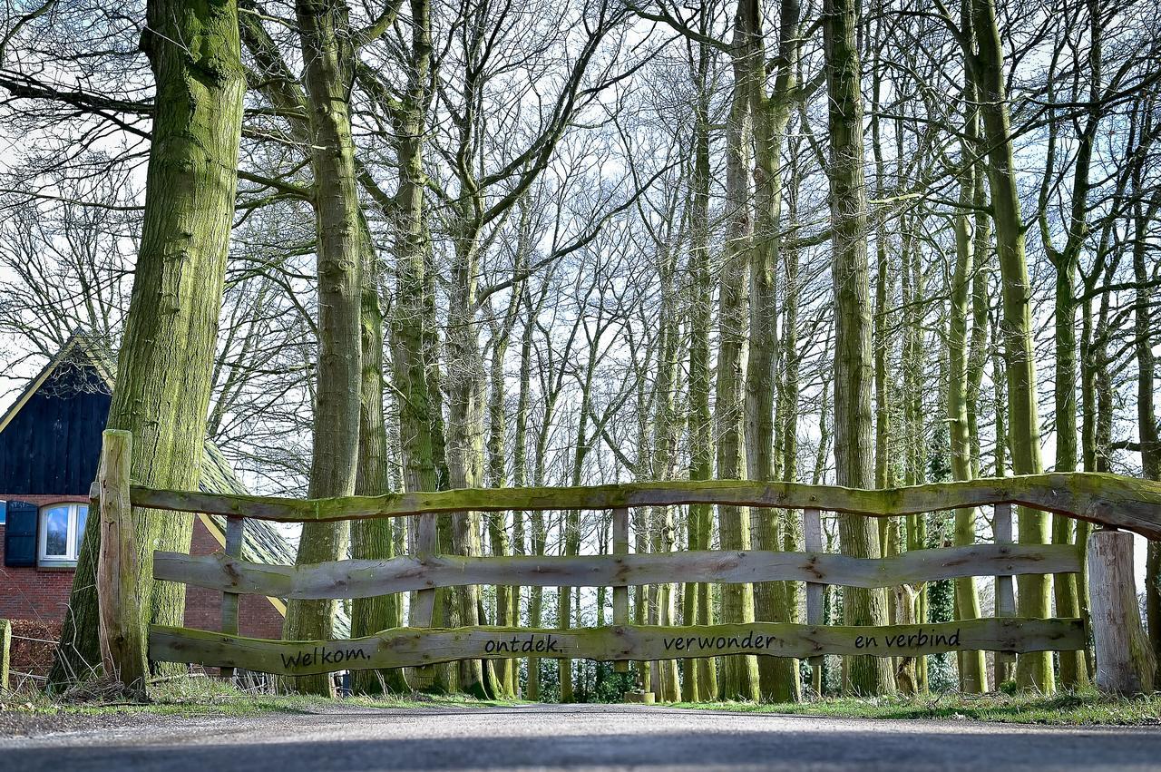 De Woeste Wieven Op Erve Bonkert Diepenheim Exterior photo